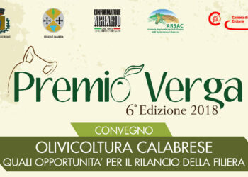 Boom di adesioni alla 6^ edizione del “Premio Verga”